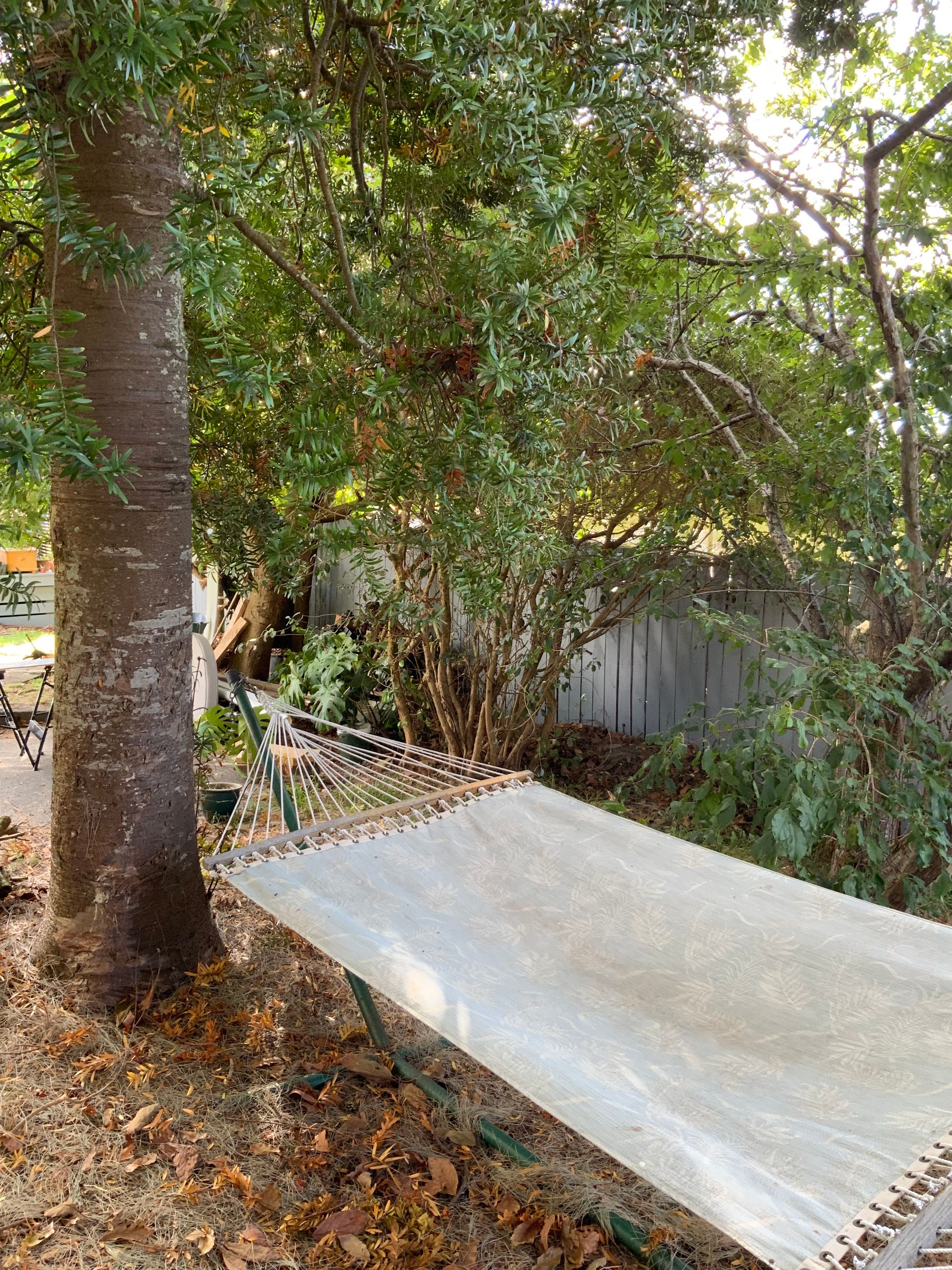 Flat Photo