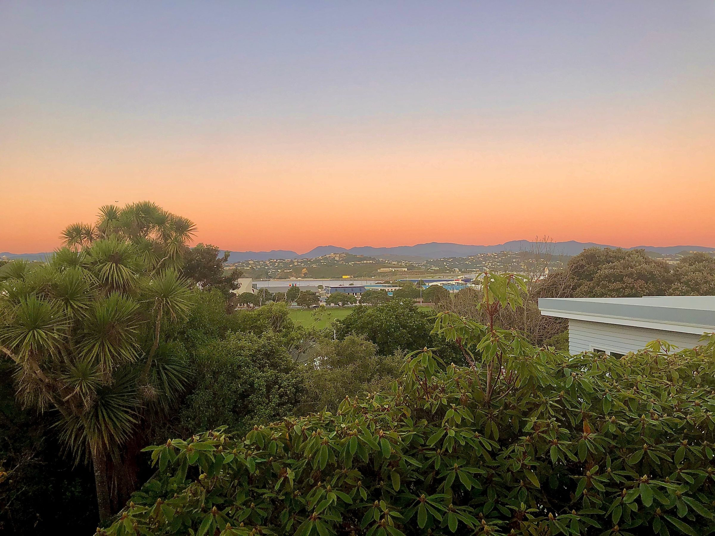 Henry Street Room to rent in Kilbirnie nzflatmates