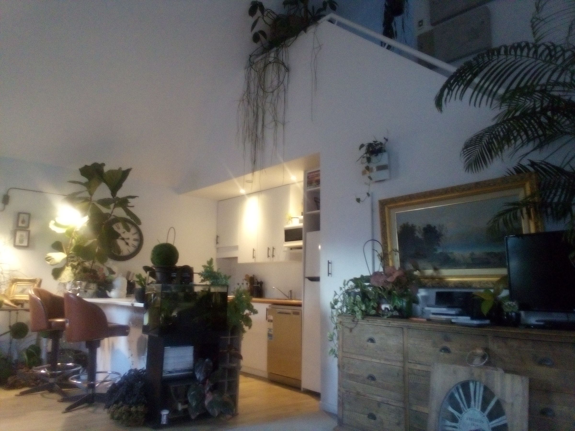 Flat Photo
