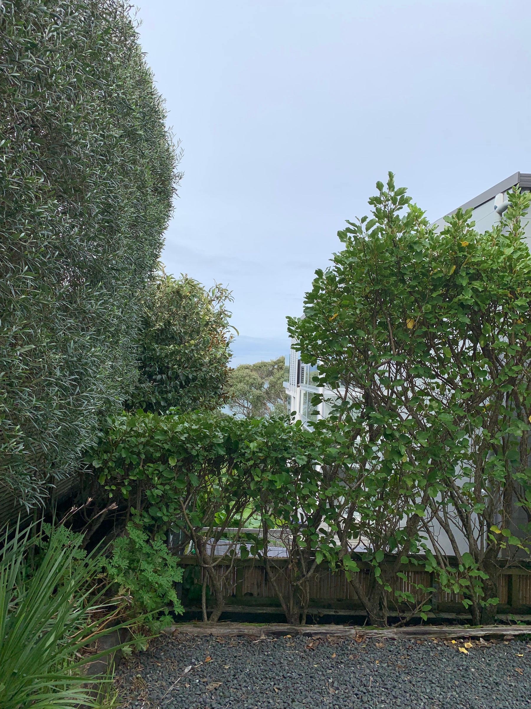 Flat Photo