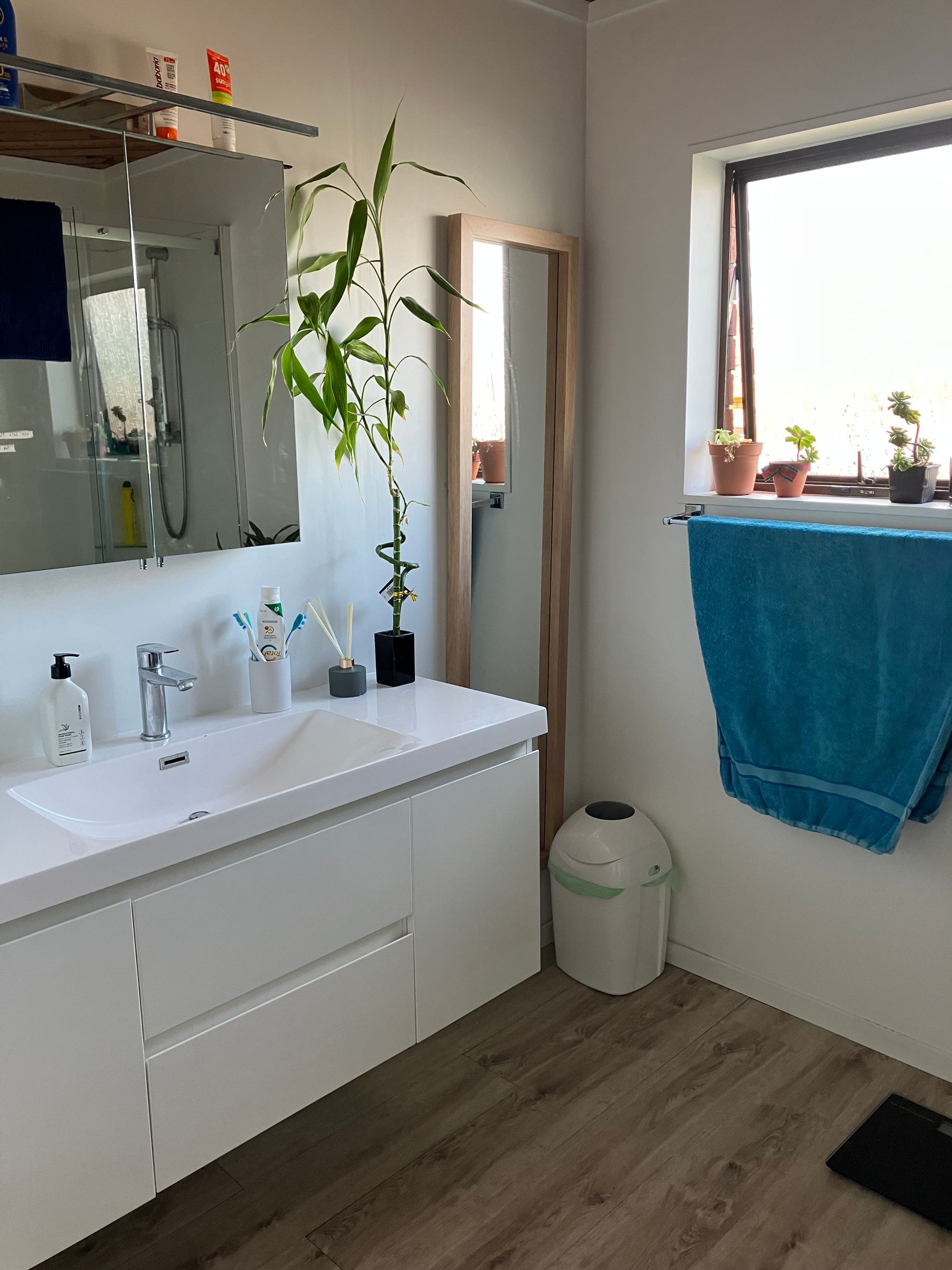 4 Compton Place Room to rent in Mount Maunganui nzflatmates