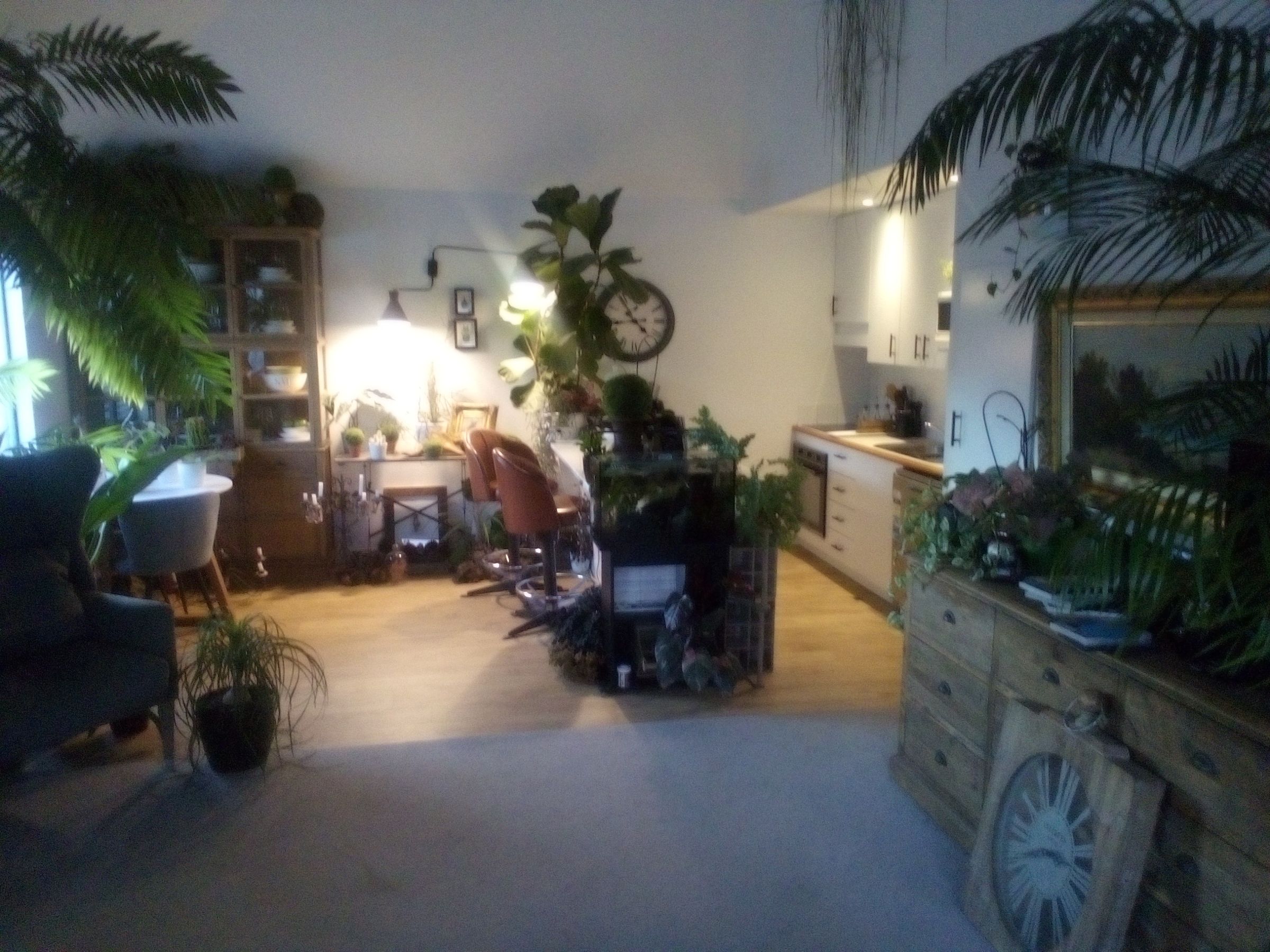 Flat Photo