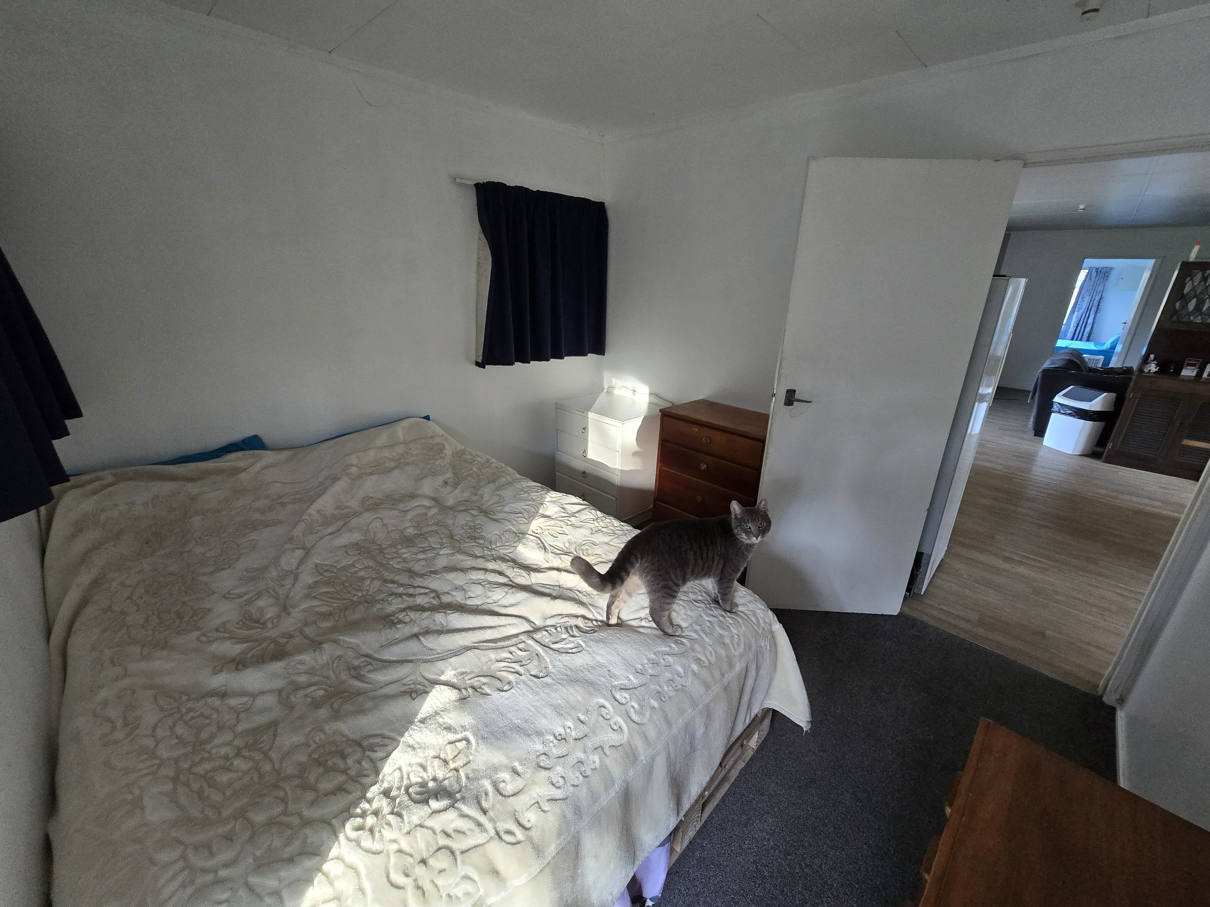 Flat Photo