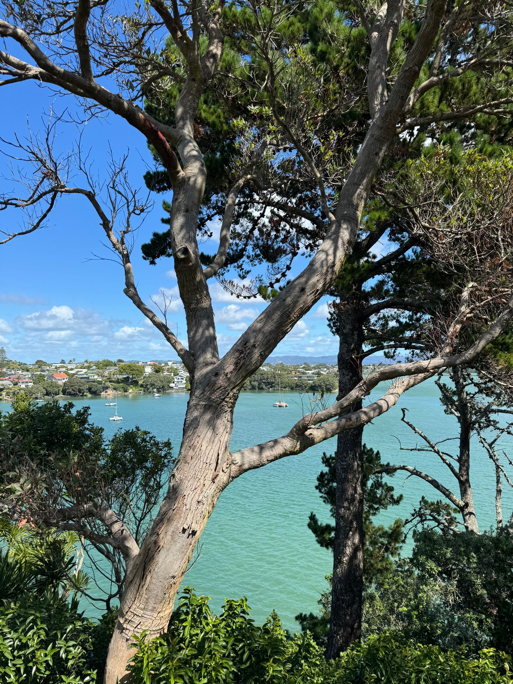 Flat Photo