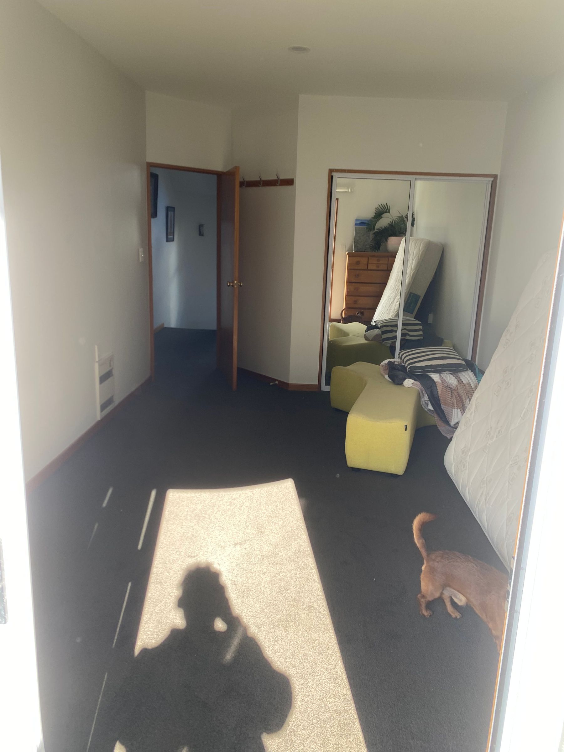 Flat Photo