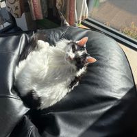 Photo of Jess