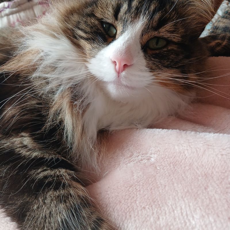 Photo of Airconditioner