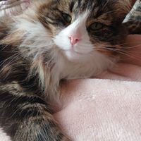 Photo of Airconditioner