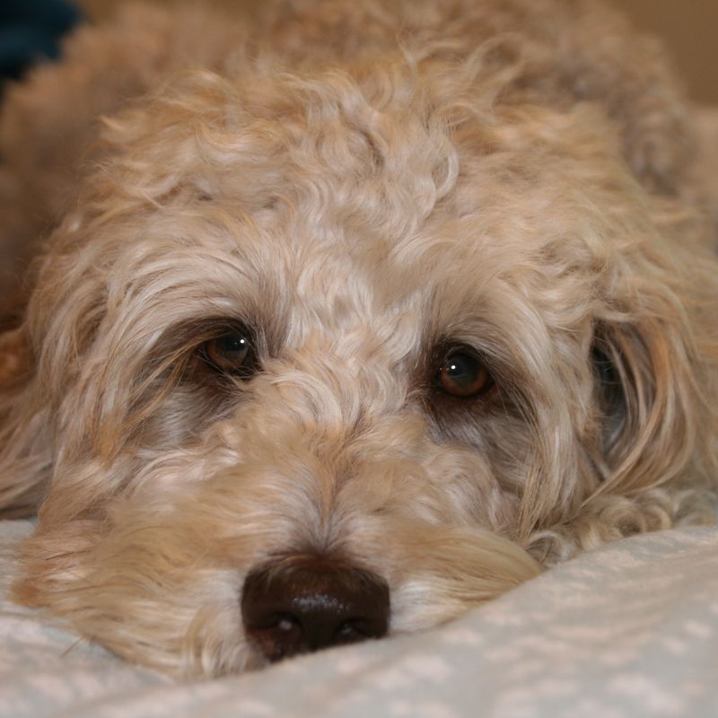 Photo of Lexi
