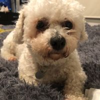 Photo of Charlie