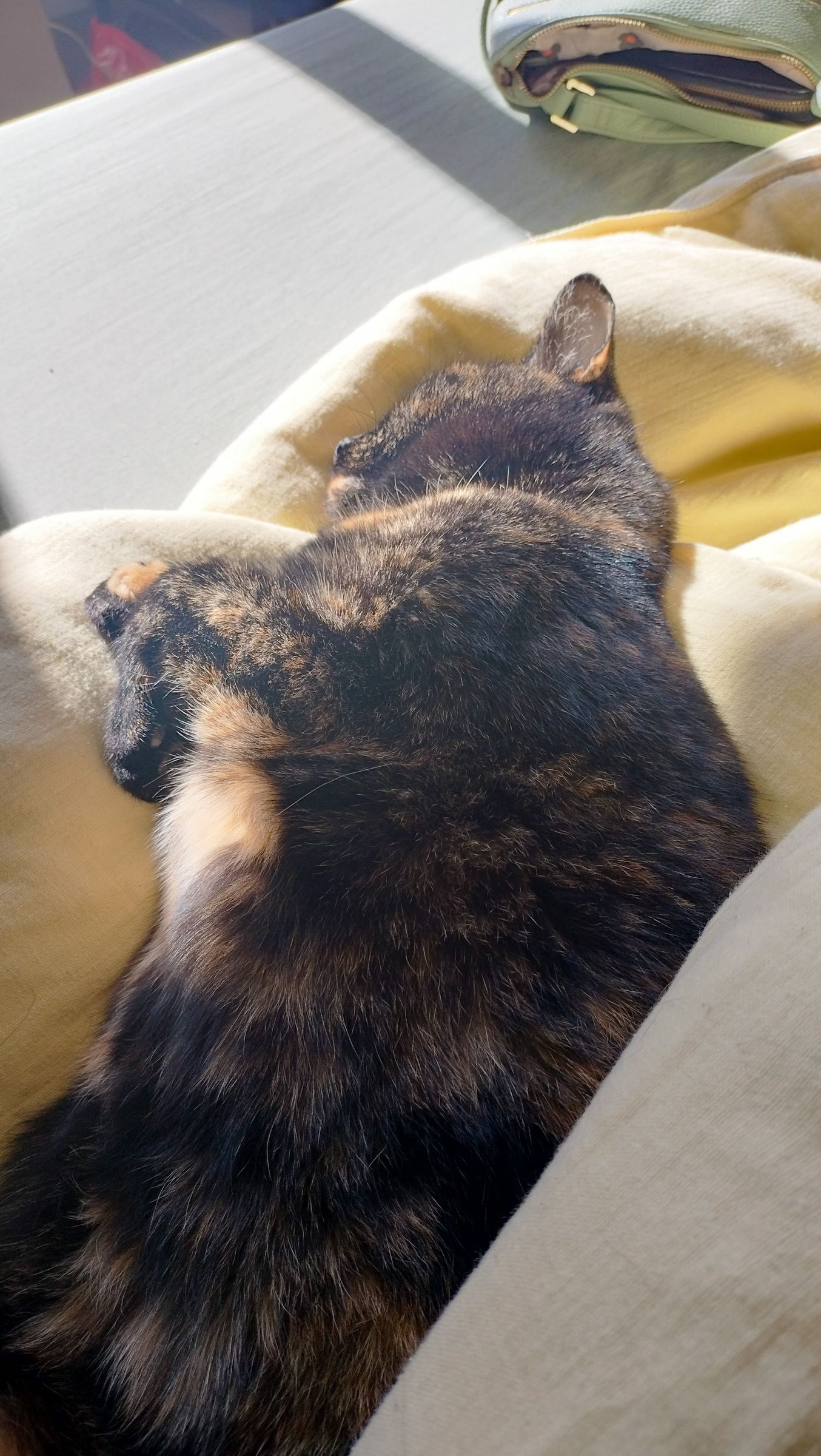 Luna