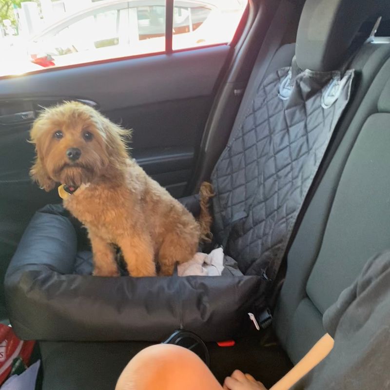 Photo of Milo