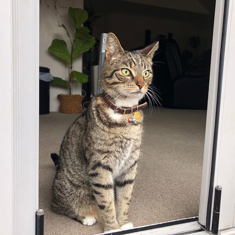Photo of Ralph