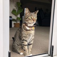 Photo of Ralph