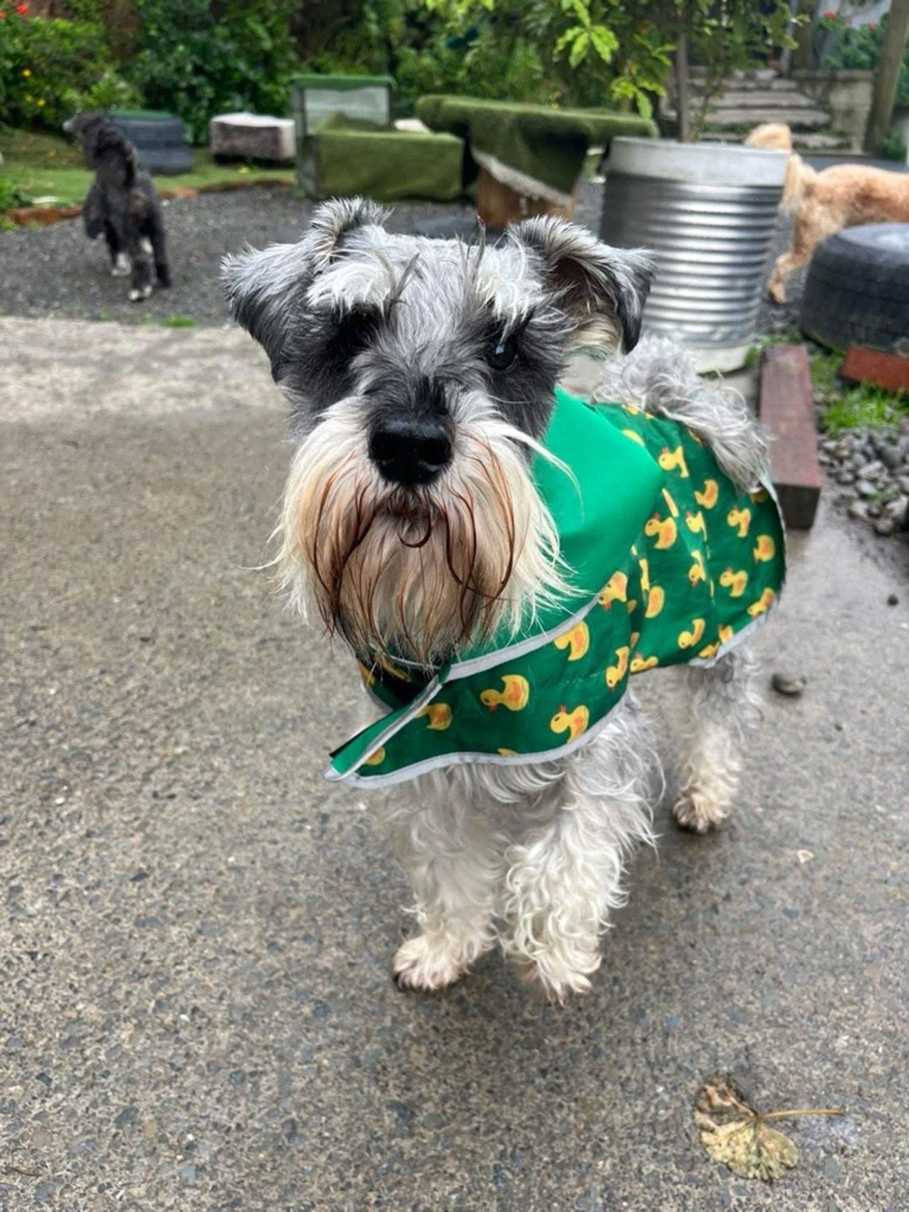 Benny