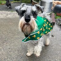 Photo of Benny