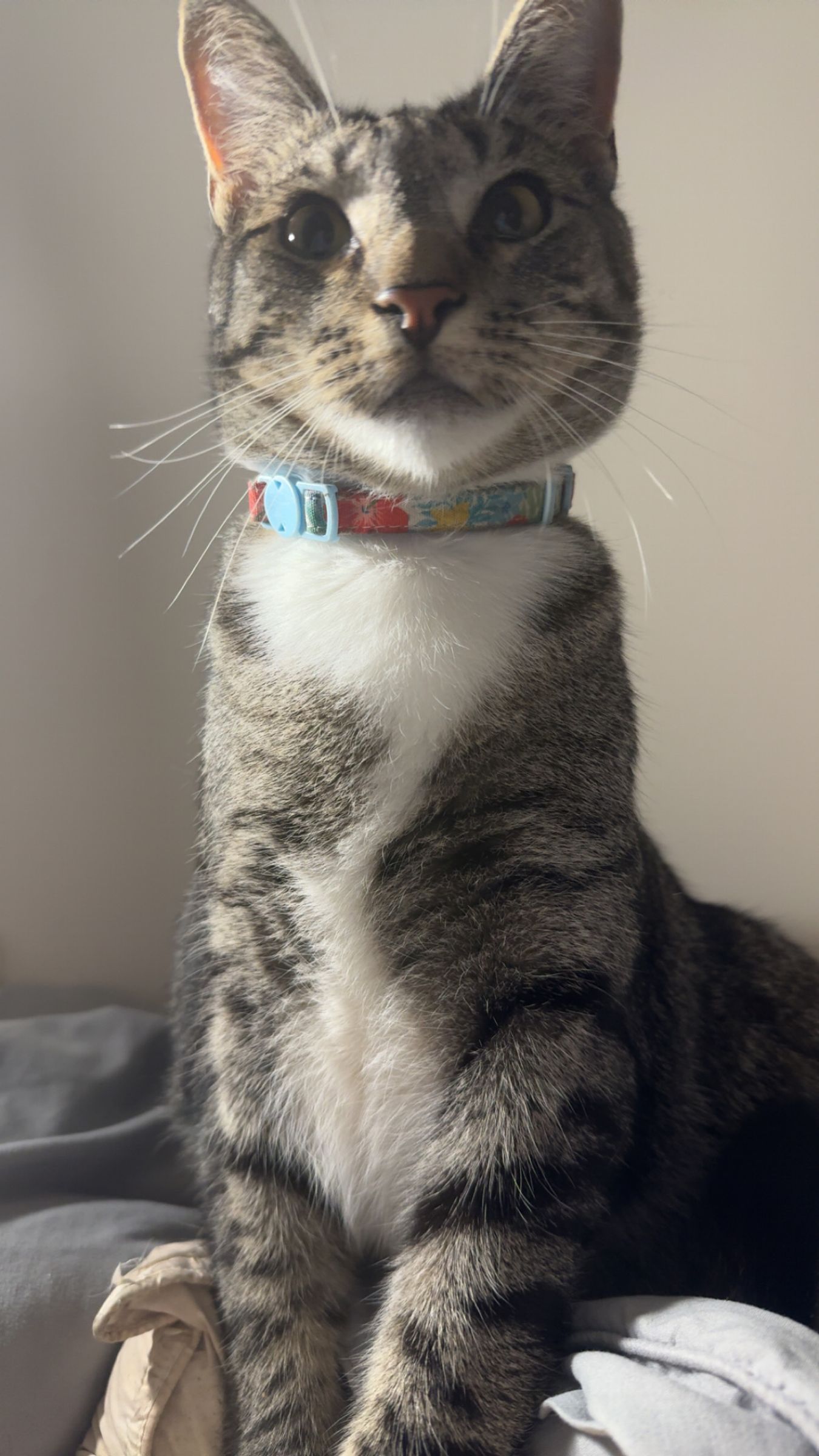 Rosco