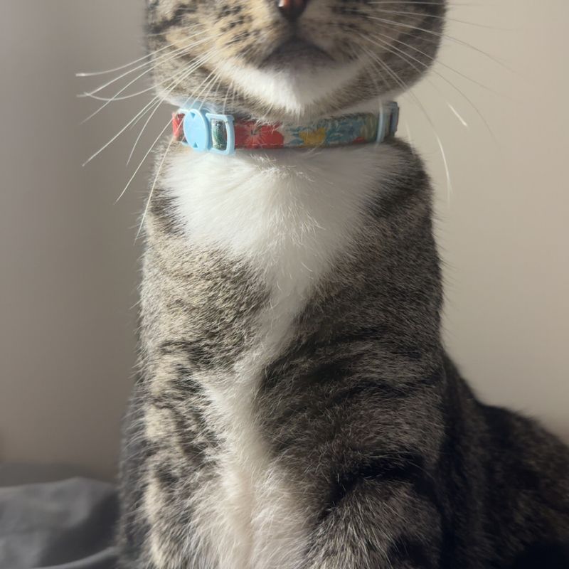 Photo of Rosco