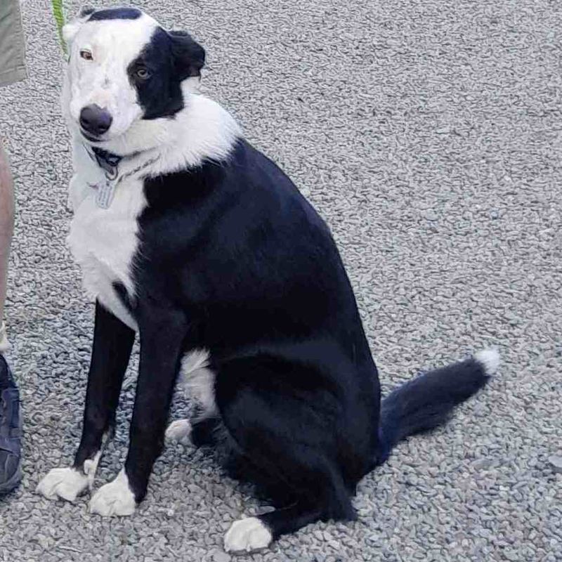 Photo of Jack