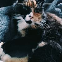 Photo of Pudge