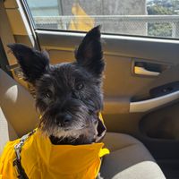 Photo of Omar (friendly)