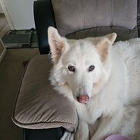 Photo of Alaska