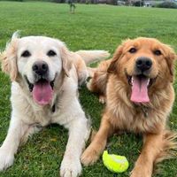 Photo of Luna And Maizey