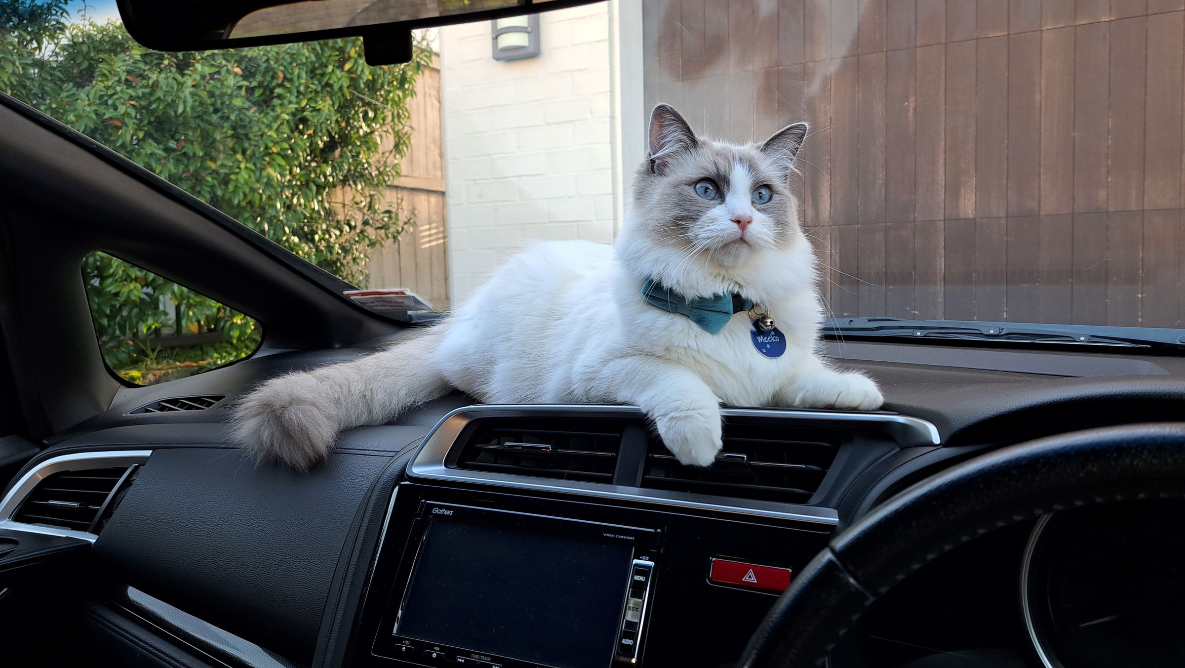 Meeko