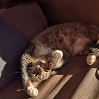 Photo of Noonz