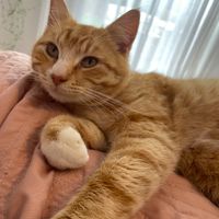 Photo of Percy