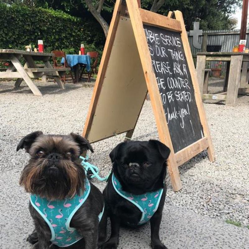 Photo of Crown & Kitiwah