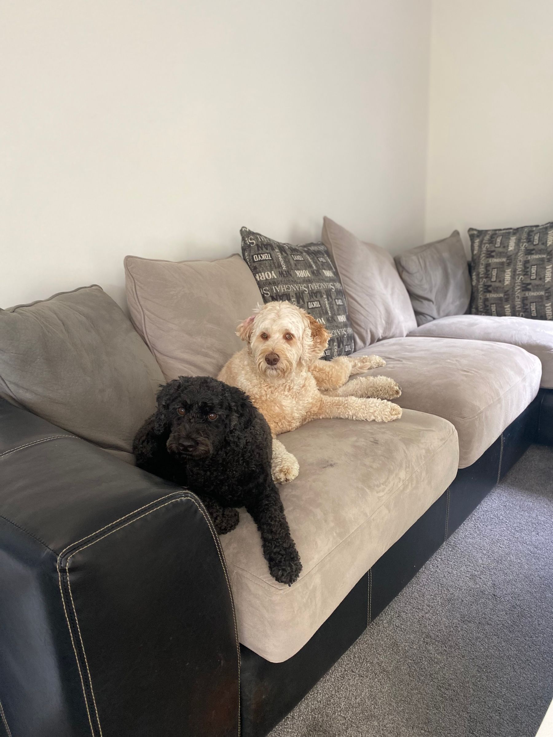 Ralph And Ted
