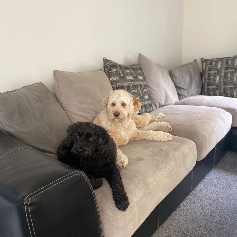 Photo of Ralph And Ted