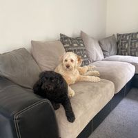 Photo of Ralph And Ted