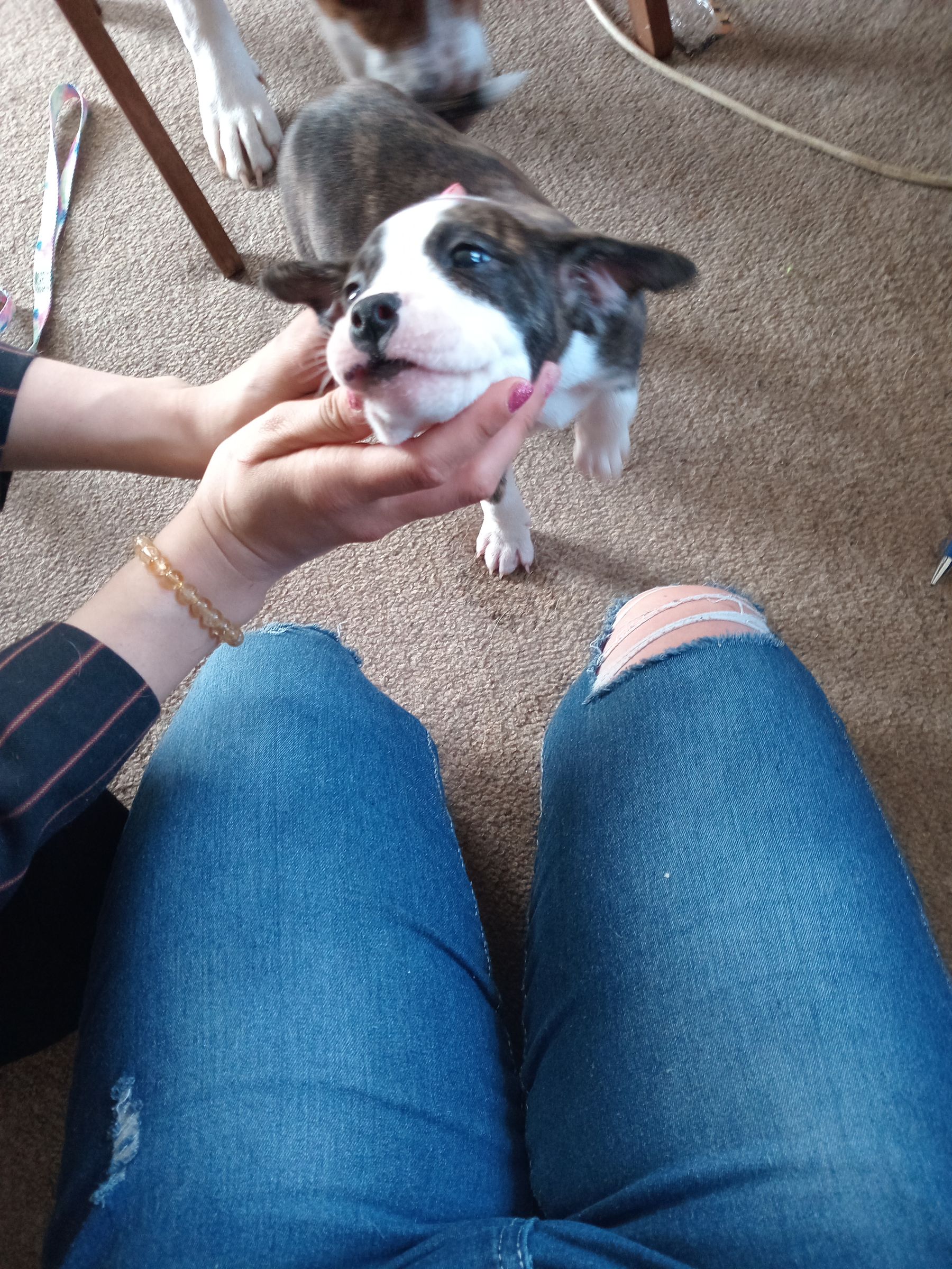 Luna