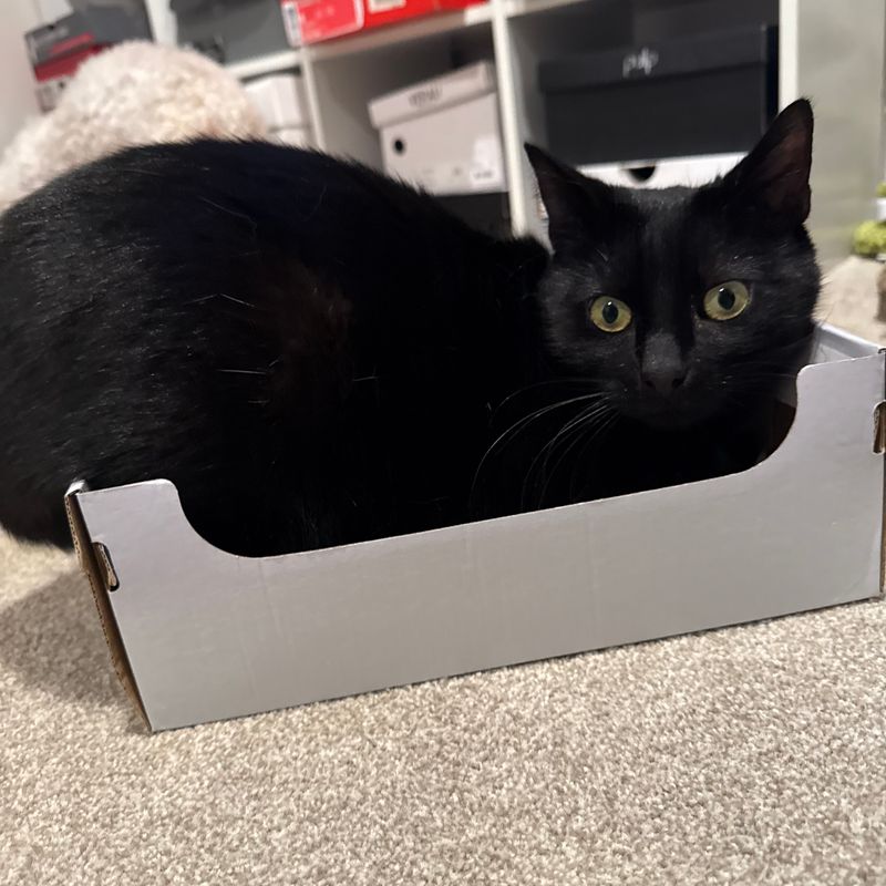 Photo of Wybie