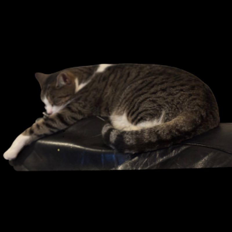 Photo of Blue