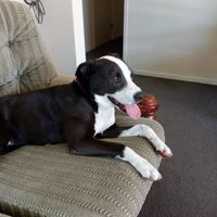 Photo of Gigi