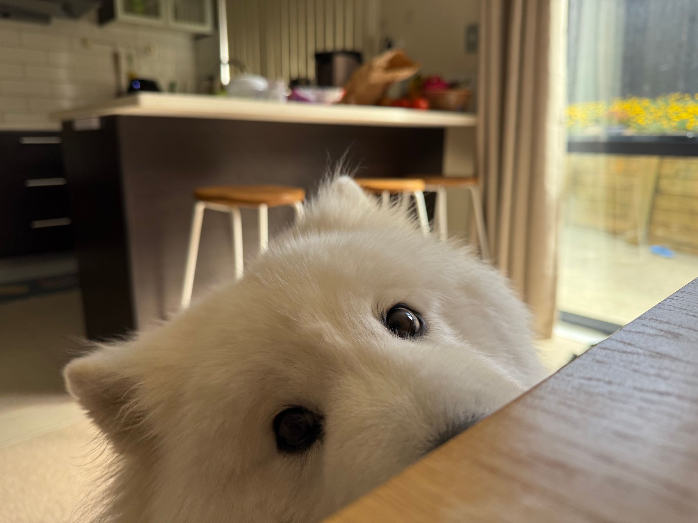 Yan