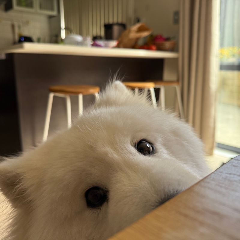 Photo of Yan