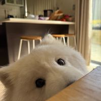 Photo of Yan