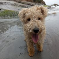 Photo of Daisy