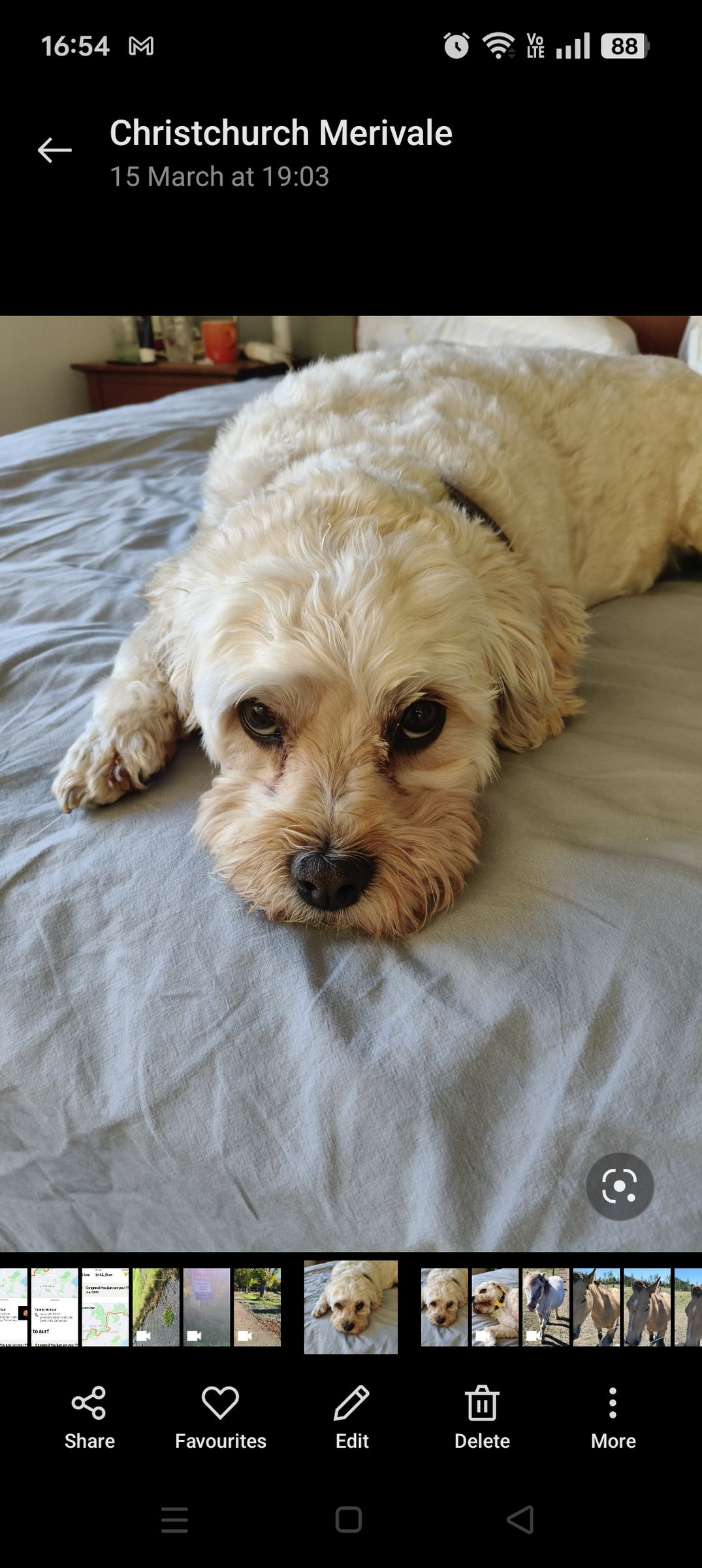 Archie