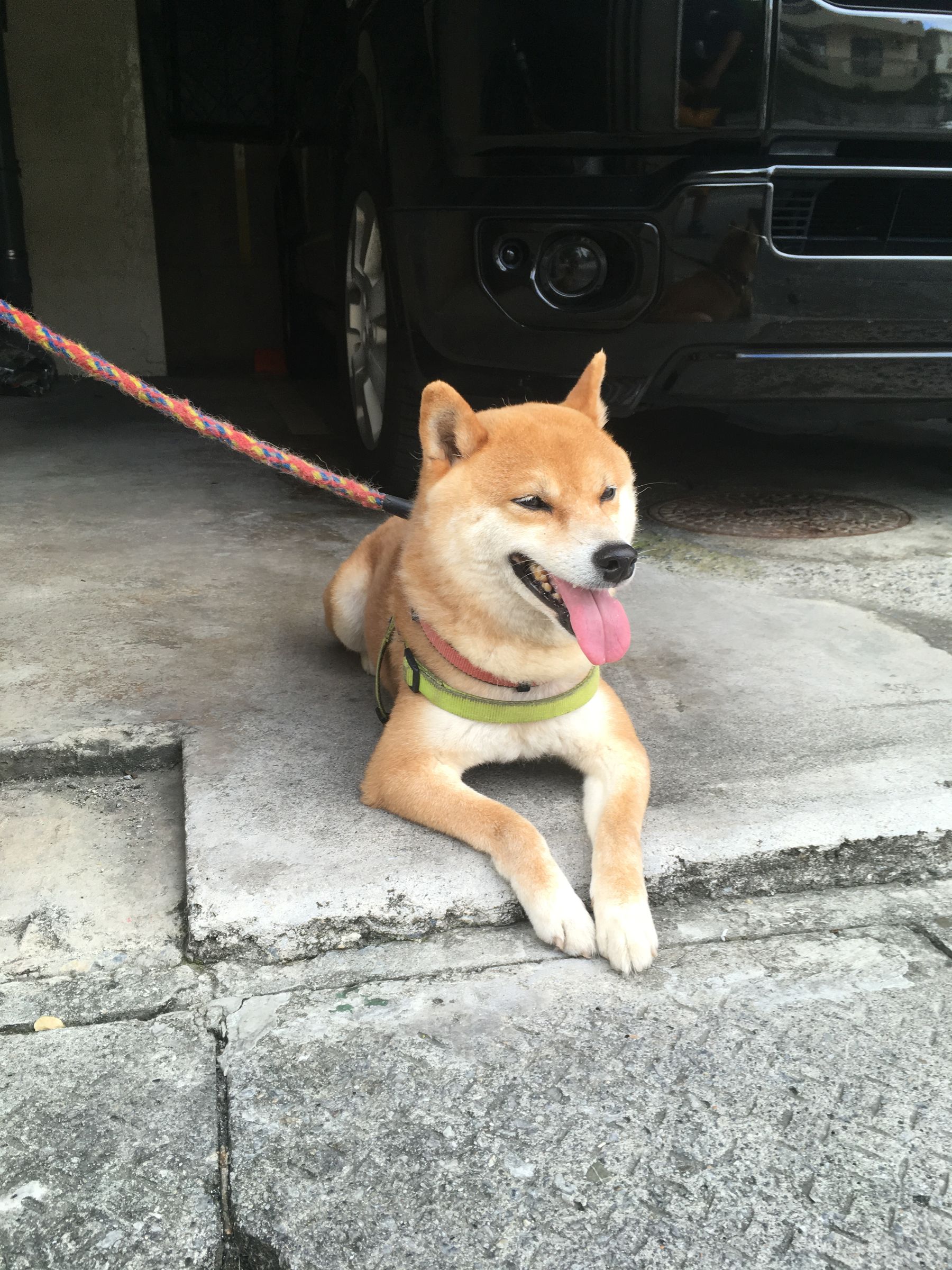 Momoka