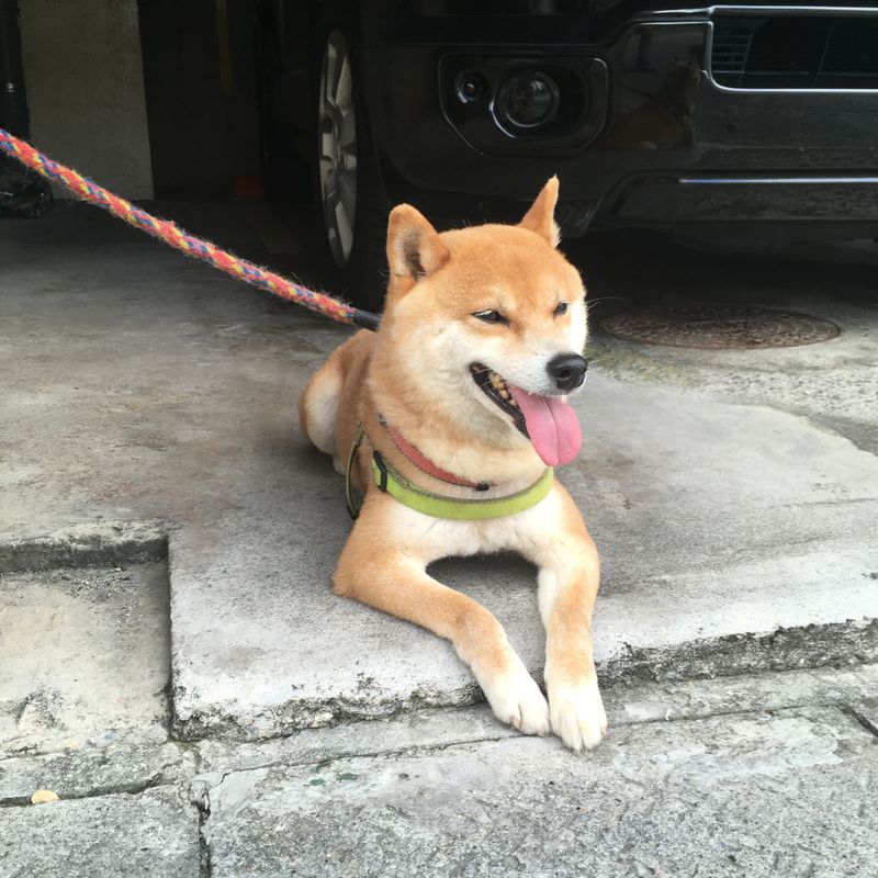 Photo of Momoka