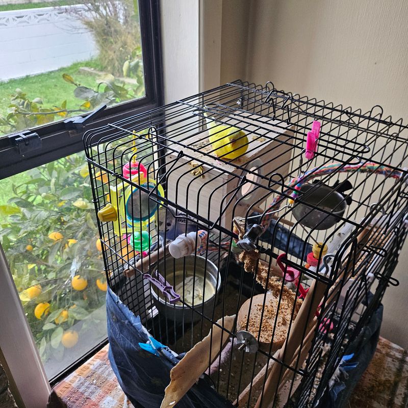 Photo of Bluey And Summer