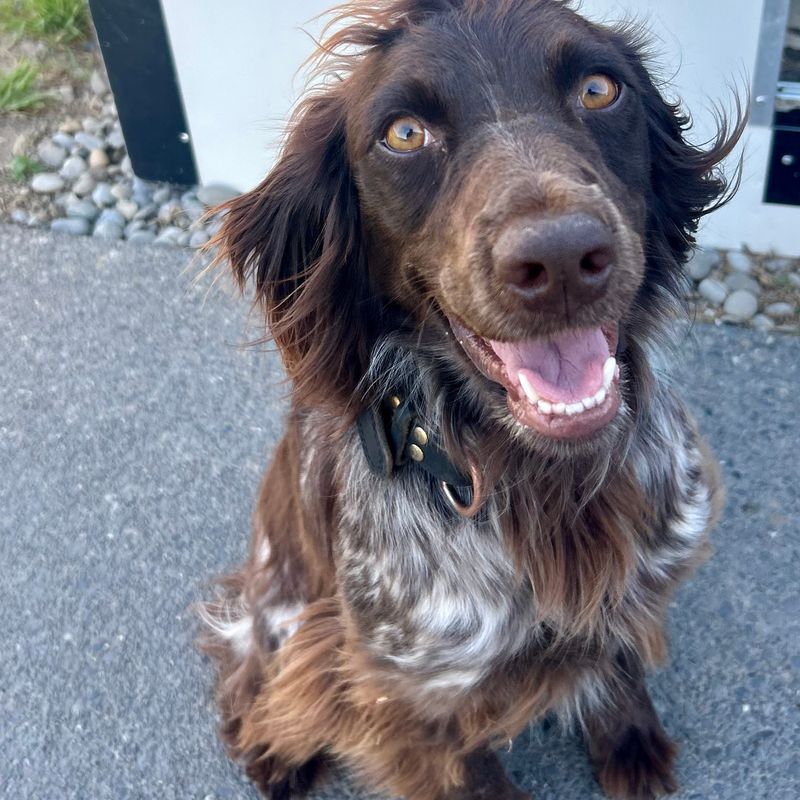 Photo of Remi