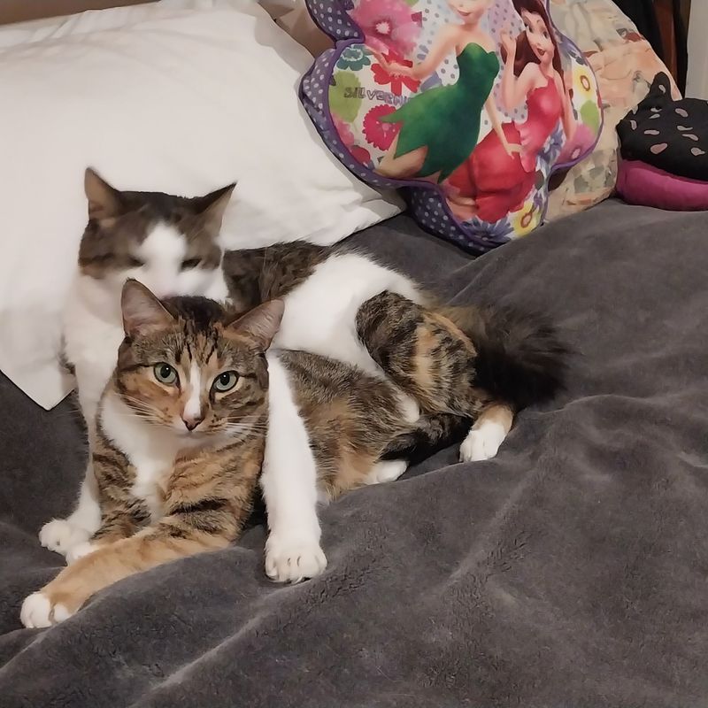 Photo of Missy And Ambre