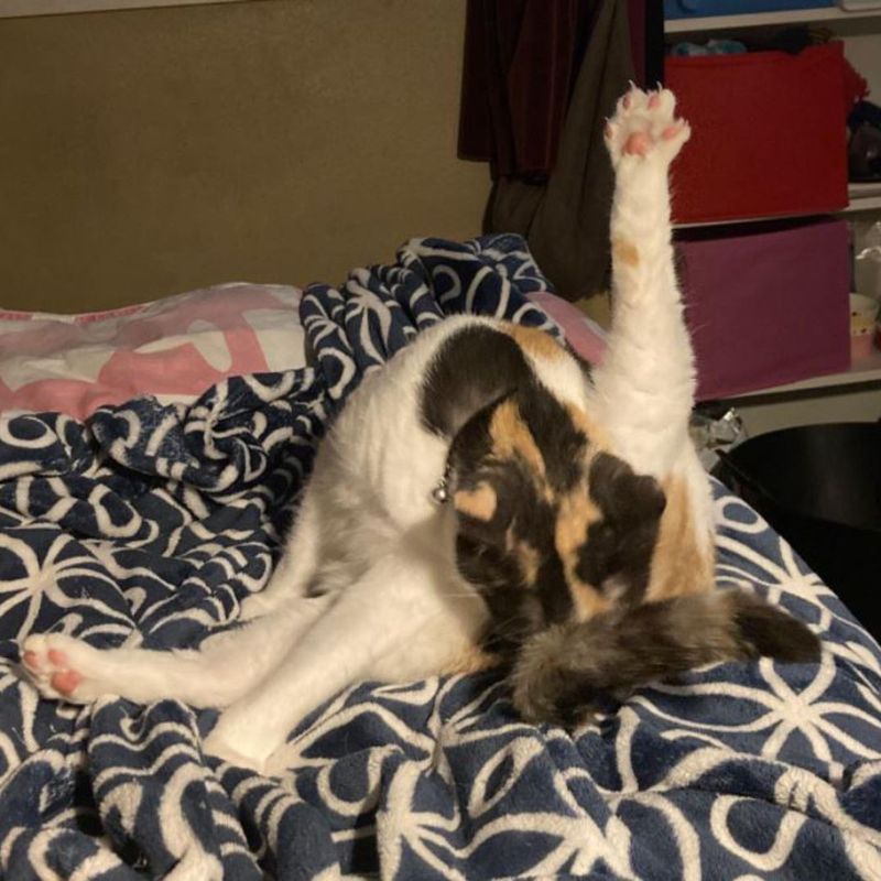 Photo of Zoey Mystique
