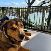 Photo of Bella